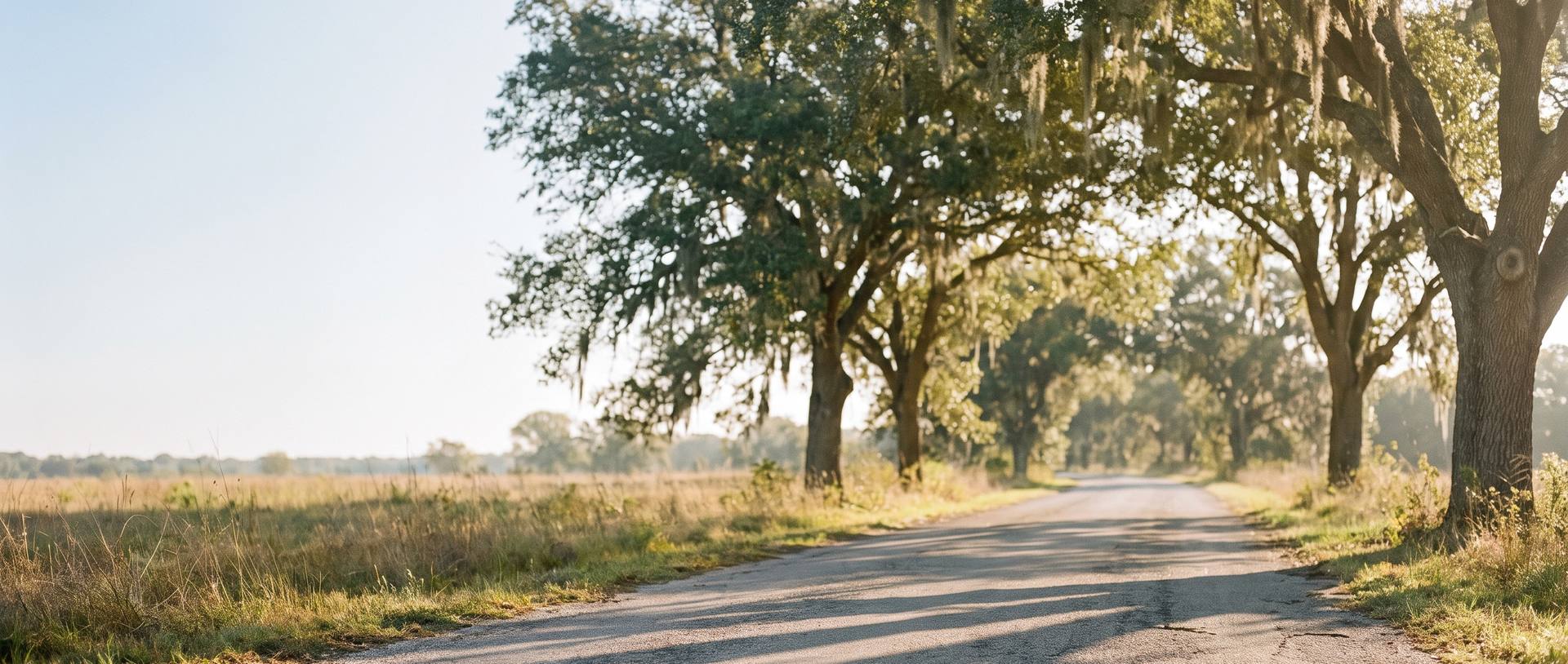 quiet Texas country road in soft morning light