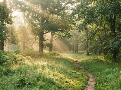 Eco friendly cremation options