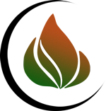 Ashes to Ashes Cremation Services