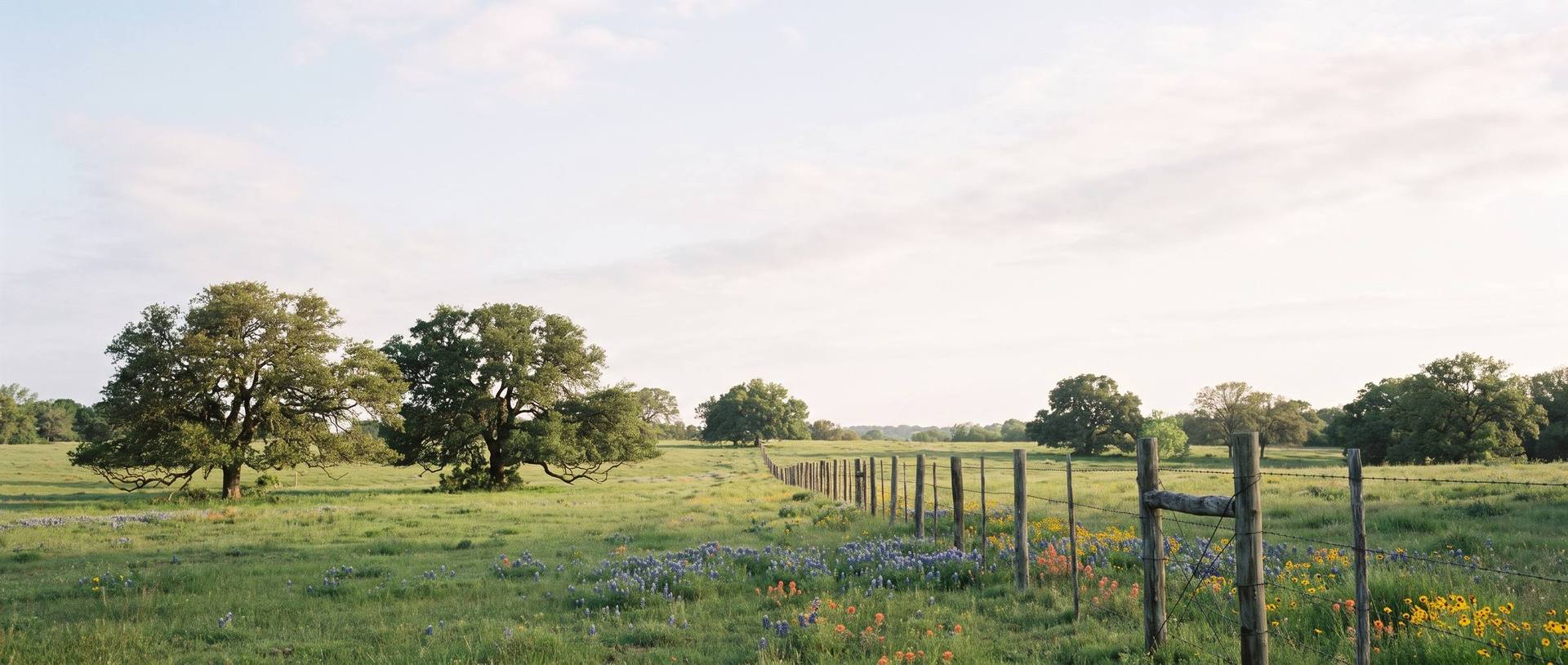 Parker County cremation services