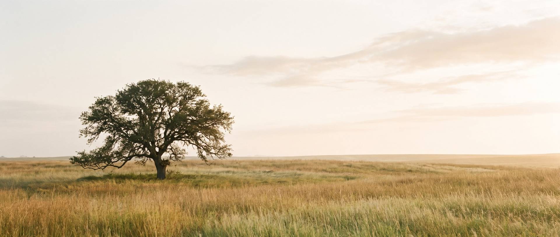 Cremation in Weatherford, TX