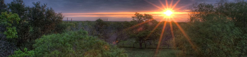 Cremation services for Weatherford and Parker County, TX